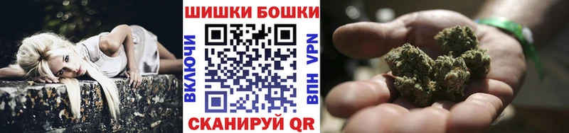 Купить закладки  Тогучин  Бошки Шишки SATIVA & INDICA 